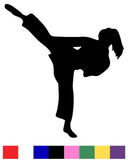 Male and Female Karate Silhouette Vinyl Decal Sticker