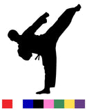 Male and Female Karate Silhouette Vinyl Decal Sticker